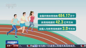 乒乓球台上的各条线